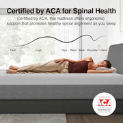 Novilla Bliss Mattress Queen Size, 14 Inch Gel Queen Memory Foam Mattress | Cooling Comfort & Pressure Relieving, Target Zoned Support for Back Pain Relief, CertiPUR US Certified Foams