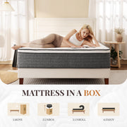 Queen Mattress, 12 Inch Queen Size Hybrid Mattresses in a Box | Medium Feel Foam and Individual Pocket Springs, Fiberglass Free Mattress, Extra Edge Support, Pressure Relief, CertiPUR-US