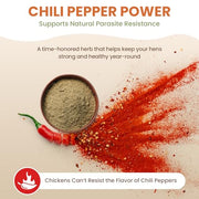 Natural Chicken Dewormer Chili Mix Powder (1 lb) | Herbal Poultry Wormer & Parasite Support for Laying Hens | Egg-Safe Chicken Dewormer for Backyard Flocks | 1 lb Bag