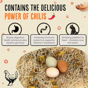 Roosty's Chicken Nesting Herbs Chili Mix, Coop Refresher, 16oz