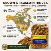 Birds LOVE® Millet Tips & Tails for Birds – Premium Spray Millet Treat, Non-GMO, USA Grown – Natural Bird Food for Parakeets, Cockatiels, Budgies, Lovebirds, Finches, Canaries & Parrots – 1 lb