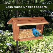 Kaytee Wild Bird No Mess Food Seed Blend for Cardinals, 10 Pound | Cleaner feeding. No mess bird seed. Shell-free, 100% edible, no grow bird seed