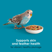 Kaytee Forti-Diet Pro Health Nourish+Protect Parakeet Food, 2 Pounds | Balanced digestion daily. Parakeet seed with superfoods. Prebiotics, probiotics, small bird food