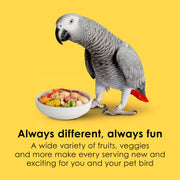 Kaytee Fiesta Parrot Food for Large Birds, 2.5 Pounds | Fun feeding. Bird food with fruits, veggies, grains. Bird seeds, shapes and textures for natural foraging