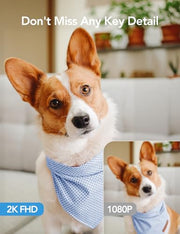 GNCC 5G Cameras for Home Security Indoor, Pet/Dog/Baby w Phone App, 4Pcs | Dual-Band Wi-Fi, 360 PTZ Auto-Tracking Pet/Dog/Cat/Puppy/Nanny, Motion Alert, SD Card or Paid Cloud