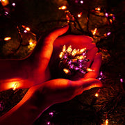 Orange & Purple Halloween Lights, 12.5ft 50 Count Incandescent String Light | UL Certified Connectable Mini Bulbs String Lights for Outdoor, Indoor, Garden, Porch, Party, Home, Halloween Decor