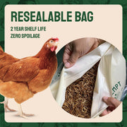 Hatortempt 5lb Dried Mealworms for Chickens & Wild Birds, Chicken Feed | Non-GMO - High-Protein Chicken Food for Laying Hens - Meal Worms Fed Organic Diet - Hand Inspected Treats - Duck Food