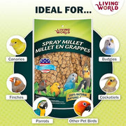 Living World Millet Spray for Birds - 3.5 oz Bag | 100% Natural, Wild-Harvested, Premium Treat - Spray Millet for Budgies, Canaries, Finches, Cockatiels & Other Pet Birds