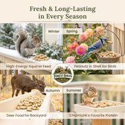 Forest Haven Premium Raw Peanuts for Squirrels – 10LB Bulk Squirrel Food – Unsalted Peanuts in Shell for Birds, Deer & Wildlife – Bonus Binoculars Included - USA Grown