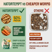 Hatortempt 5lb Dried Mealworms for Chickens & Wild Birds, Chicken Feed | Non-GMO - High-Protein Chicken Food for Laying Hens - Meal Worms Fed Organic Diet - Hand Inspected Treats - Duck Food
