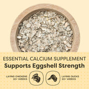 Scratch and Peck Feeds | Oyster Shell Chickens & Ducks | 4 lb Pouch | Essential Calcium Supplement for Eggshell Strength and Hen Health, All Natural, Sustainably Sourced