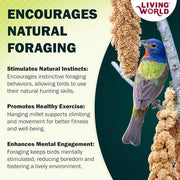 Living World Millet Spray for Birds - 3.5 oz Bag | 100% Natural, Wild-Harvested, Premium Treat - Spray Millet for Budgies, Canaries, Finches, Cockatiels & Other Pet Birds