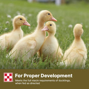 Purina | Nutritionally Complete Duck Feed for All Life-Stages | 4.5 Pound (4.5 LB) Bag