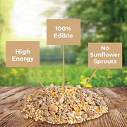 Kaytee Wild Bird No Mess Food Seed Blend for Cardinals, 10 Pound | Cleaner feeding. No mess bird seed. Shell-free, 100% edible, no grow bird seed
