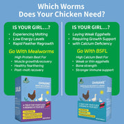 OHNAME 10LB Dried Black Soldier Fly Larvae for Chickens | Factory Direct-No Middle Man, 4% Calcium for Strong Eggshells, 43% Protein Natural Treats for Vibrant Feathers