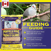 Hagen Pigeon & Dove Seed, Original Formula Bird Food, 6 lb Bag | Nutritionally Complete Seed Mix with Vitamins & Minerals, Wild & Captive Bird Diet, Insect-Resistant Air-Tight Packaging
