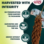 Living World Millet Spray for Birds - 3.5 oz Bag | 100% Natural, Wild-Harvested, Premium Treat - Spray Millet for Budgies, Canaries, Finches, Cockatiels & Other Pet Birds