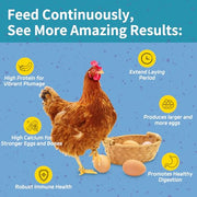 OHNAME 10LB Dried Black Soldier Fly Larvae for Chickens | Factory Direct-No Middle Man, 4% Calcium for Strong Eggshells, 43% Protein Natural Treats for Vibrant Feathers