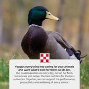 Purina | Nutritionally Complete Duck Feed for All Life-Stages | 4.5 Pound (4.5 LB) Bag