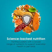 Kaytee Forti-Diet Pro Health+Safflower Parrot Food, 4 Pounds | Better digestion daily. Parrot food for medium birds. Prebiotics, probiotics, bird seed without sunflower seeds