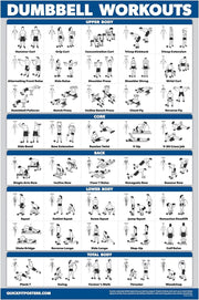 Palace Learning Dumbbell Workout Exercise Poster - Free Weight Body Building Guide | Home Gym Chart - LAMINATED, 18" x 24"