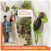 HEX BOTS Wall Crawler Gecko Rechargeable Remote Control Toy | Lizard RC Toy, Wall Climbing Technology, Realistic Limbs, Easy to Use Remote, Prank Toys & Gifts for Kids Ages 4+