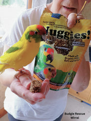 Harrison's Bird Foods Nuggies - Tasty Organic Baked Seed Clusters, 196g