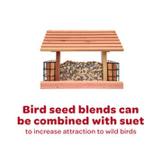 Kaytee All American Wild Bird Food Seed Blend for Cardinals, Blue Jays, Finches & Other Outdoor Wild Birds, 5 Pounds
