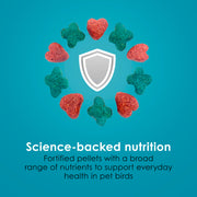Kaytee Forti-Diet Pro Health Nourish+Protect Conure & Lovebird Food, 4 lb | Balanced digestion. Conure food with prebiotics and probiotics. Parrot food, antioxidants, omega-3s