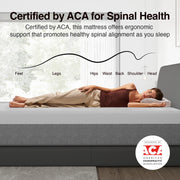 Novilla Bliss Mattress Queen Size, 14 Inch Gel Queen Memory Foam Mattress | Cooling Comfort & Pressure Relieving, Target Zoned Support for Back Pain Relief, CertiPUR US Certified Foams