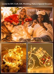 Minetom 6 Pack Battery Operated LED Fairy Lights for Christmas Decor | 20 LED Bulbs, Flexible Silver Wire, Waterproof, Lovely for DIY Crafts Wedding Table Centerpieces Decoration