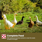 Purina | Nutritionally Complete Duck Feed for All Life-Stages | 4.5 Pound (4.5 LB) Bag