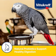 Vitakraft Menu Parrot Food 5 lb. | Nutrient-Rich Seed Blend, Natural Foraging Mix, Daily Diet Formula, Resealable Bag, 5 lb Pack