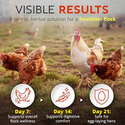 Buff Clucks WormStop Natural Chicken Dewormer Powder – All-Natural Herbal Blend for Daily Wellness - Chicken Wormer is Safe for Eggs & All Ages - Garlic, Pumpkin Seed, Wormwood - USA (8 oz)