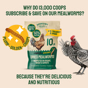 Hatortempt 5lb Dried Mealworms for Chickens & Wild Birds, Chicken Feed | Non-GMO - High-Protein Chicken Food for Laying Hens - Meal Worms Fed Organic Diet - Hand Inspected Treats - Duck Food