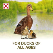 Purina | Nutritionally Complete Duck Feed for All Life-Stages | 4.5 Pound (4.5 LB) Bag
