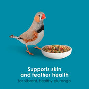 Kaytee Forti-Diet Pro Health Nourish+Protect Canary & Finch Food, 2 Lb | Supports digestion and immunity. Canary food with probiotics and prebiotics. Bird food, omega 3s, naturally preserved