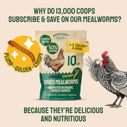 Hatortempt 5lb Dried Mealworms for Chickens & Wild Birds, Chicken Feed | Non-GMO - High-Protein Chicken Food for Laying Hens - Meal Worms Fed Organic Diet - Hand Inspected Treats - Duck Food