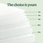 Zinus Memory Foam 8 Inch Green Tea Mattress, Twin | Pressure-Relieving Comfort & Full-Body Support, Naturally Fresh, CertiPUR-US & OEKO-TEX Certified Safe Materials