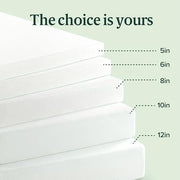 Zinus Memory Foam 8 Inch Green Tea Mattress, Twin | Pressure-Relieving Comfort & Full-Body Support, Naturally Fresh, CertiPUR-US & OEKO-TEX Certified Safe Materials