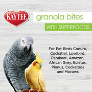 Kaytee Granola Bites with Super Foods Spinach and Kale for Pet Birds, Conure, Cockatiel, Lovebird, Parakeet, Amazon, African Grey, Ecletus, Pionus, Cockatoos and Macaws, 4.50 Ounce (Pack of 1)
