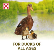 Purina | Nutritionally Complete Duck Feed for All Life-Stages | 4.5 Pound (4.5 LB) Bag