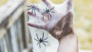 Happy Hippo Halloween Spider Web Decoration, 200 Square Feet & Plastic Spiders, Halloween Party Supplies, Spider Webs (Small, 200 Sq Feet) (8 Fake Spiders Included)