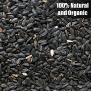 Old Potters Wildlife Black Oil Sunflower Seeds, 12 lbs | For Birds and Wildlife, Non-GMO, USA Grown on Small Farms