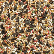Wild Harvest Daily Blend Bird Food for Cockatiels, 2 lbs. | For Cockatiels, Lovebirds & Small Hookbills, Quality Blend Made With Millet, Select Grains, Sunflower Seeds & More