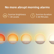 Odokee Sunrise Alarm Clock White Noise Machine: Natural Wake Up Light | Dimmable Clock with Bluetooth Speaker for Bedroom - 25 Sleep Sounds for Baby Adults Kids Putty