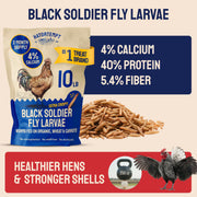 Hatortempt 10lb Black Soldier Fly Larvae for Chickens, Calci Chicken Treats | 80x More Calcium Than Mealworms - Black Soldier Fly Larvae for Chickens - Non-GMO - Fed On An Organic Diet