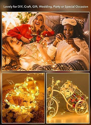 Brightown 12 Pack 7ft Battery Operated LED Fairy Lights for Xmas Decoration | 20 LED Bulbs, Warm White, Waterproof, Flexible Silver Wire, Lovely for DIY Crafts Wedding Table Centerpieces Decoration