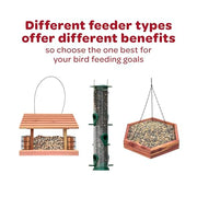 Kaytee All American Wild Bird Food Seed Blend for Cardinals, Blue Jays, Finches & Other Outdoor Wild Birds, 5 Pounds