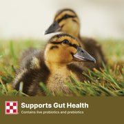 Purina | Nutritionally Complete Duck Feed for All Life-Stages | 4.5 Pound (4.5 LB) Bag